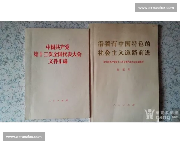 中国各类国家纪录汇编与分析：突破极限的成就与背后故事