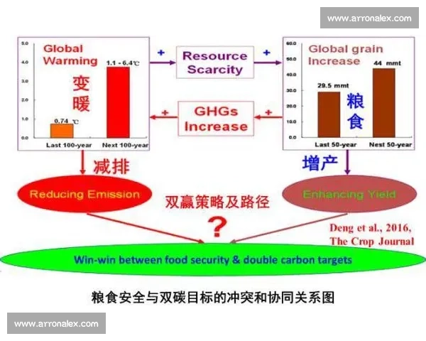 体育团队高效管理策略与成员激励机制全面研究 体育团队高效管理策略与成员激励机制全面研究